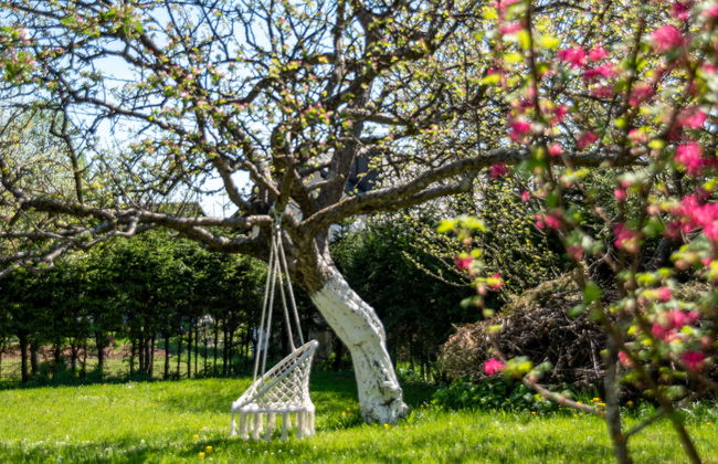 Relax & Play - Foto 35