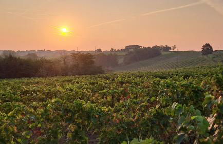 Casa Magica - Foto 33