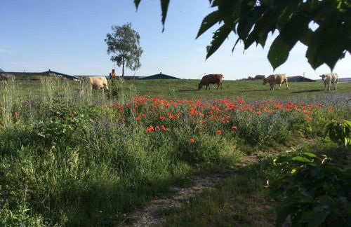 Zum Schwalbennest - Foto 20