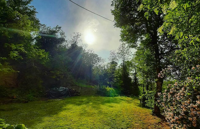 Mikin dol Baranja Country House - Foto 39