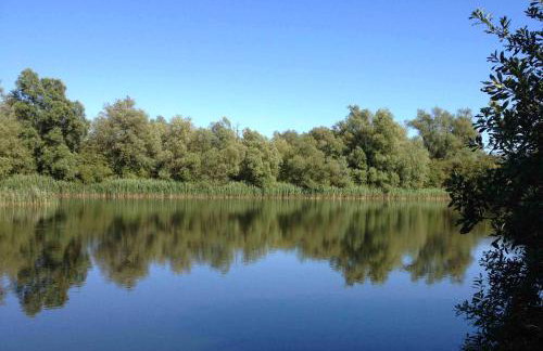 Ferien-am-Gutshof in Velgast - Ferienwohnung in Ostseenähe - Foto 18