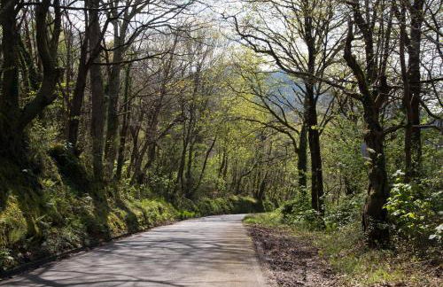 Los Candiles - Foto 43