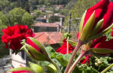 Casa Nanda Badia Prataglia - Foto 7