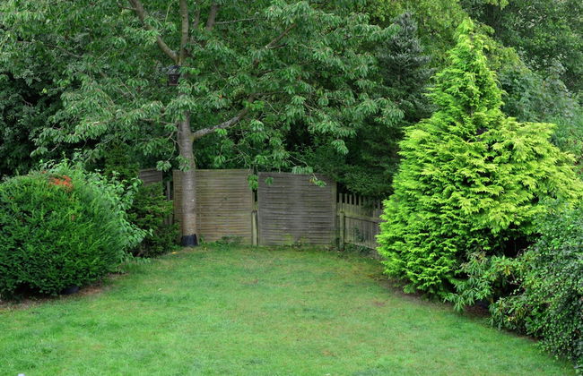 Garden-view Apartment in Heringhausen Lake City Centre - Photo 33