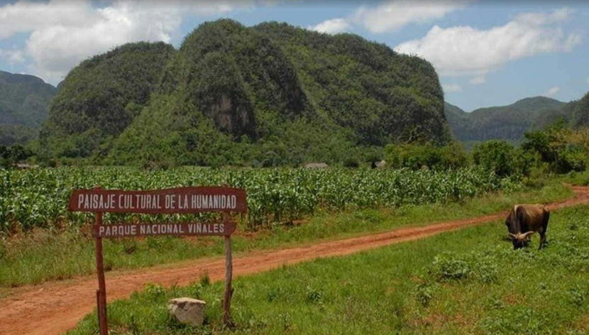 Exploring Viñales Valley
