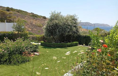 Anemelia & Helios Studio - Foto 41