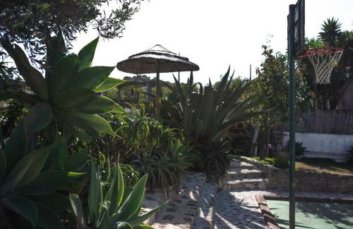 João Jungle - Foto 17