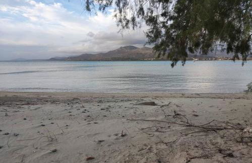 Bahia- apartment by the sea - Foto 15