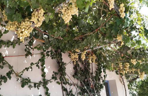 Nikolas Apartments - Foto 38