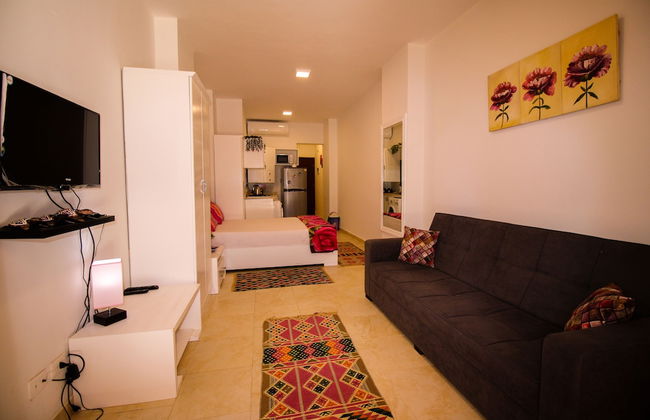 SeaView Turtles - Foto 67