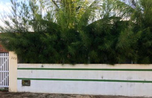 Casa operete - Foto 68