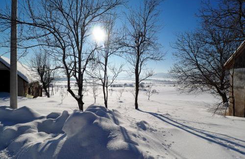 House Sara - Foto 42