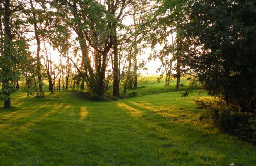 Altes Pastorenhus - Land und Meer - Foto 38