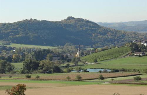 Weingut-Ferienwohnung Jungblut - nur Urlaubsgäste - Foto 15
