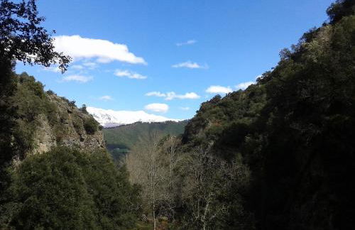 Casas Rurales La Casuca - Photo 34