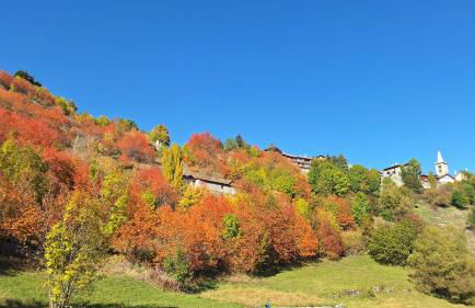 LA CASETTA - Appartamento CERVINO - Foto 12