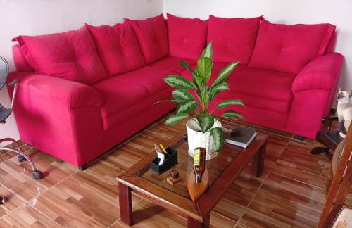 Estadia da Do Carmo - Foto 5