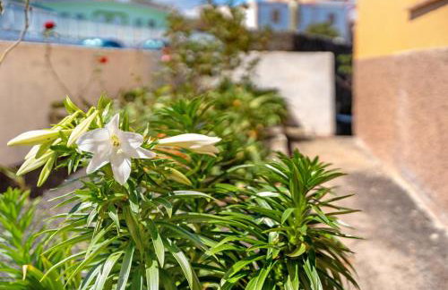 Casa Maruca 1 - Foto 27