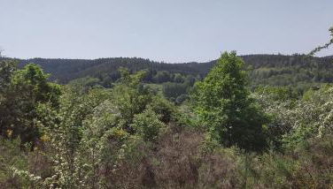 Seßles Waldhäuschen Dietzhausen - Foto 4