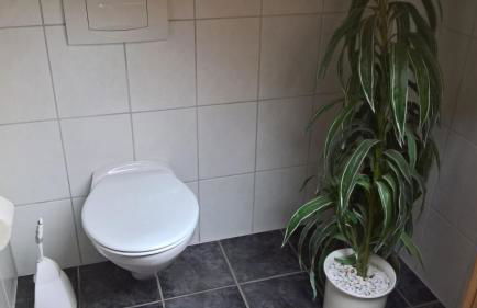 Ferienwohnung Fuchskuhle - Foto 24