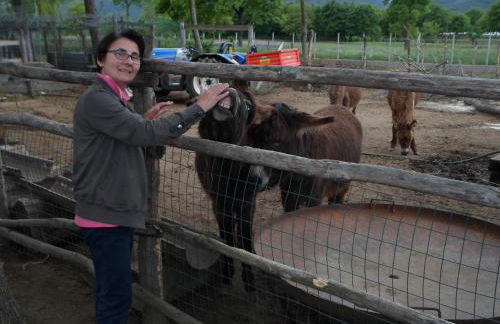 Azienda Agrituristica Pericle - Foto 33