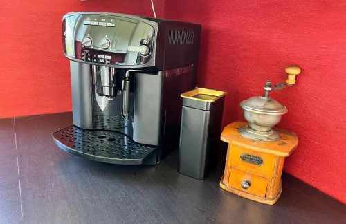 Luxus Ferienhaus Erzgebirge in Alleinlage - Foto 18