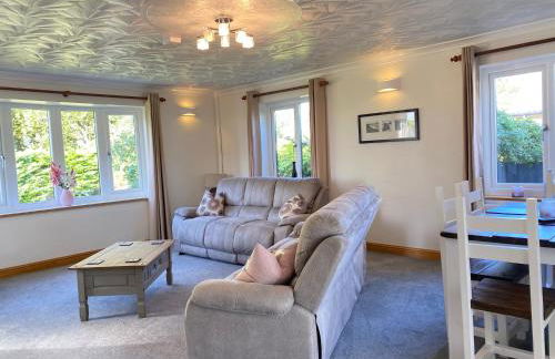 Buena Vista - Foto 12