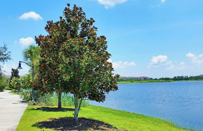 Beautiful LAKEVIEW Deluxe Condo Near Theme Parks - Foto 129