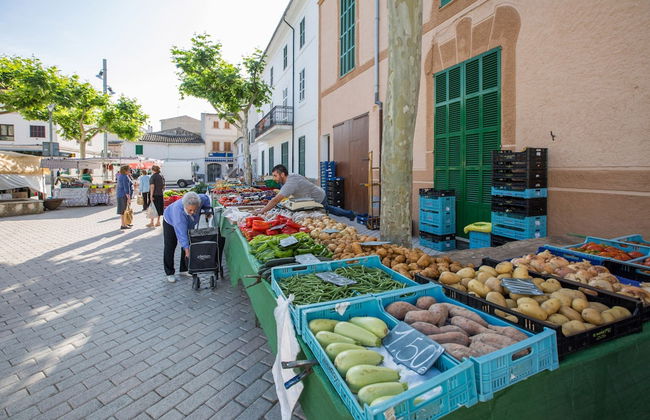 Sa Casa Vella in Vilafranca de Bonany - Foto 32