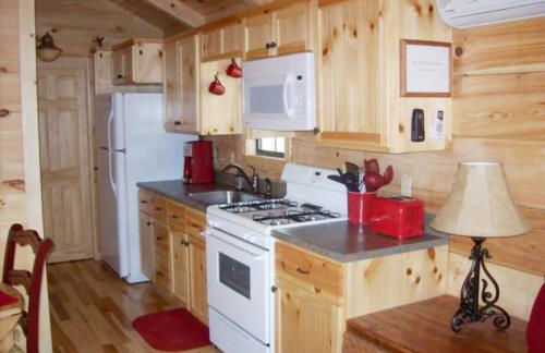 Cabin in the Treetops-Peaceful 1BR 20-Acre Rural Retreat-HotTub&WiFi near Asheville - Foto 4