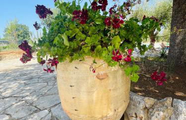 TRULLO FERNANDO - Foto 31