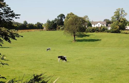 WestLaigh Lrg Luxury Country Farm House 20 min from the city - Foto 23