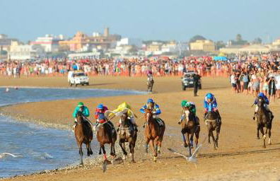 Oasis Flamencos Golf - Foto 22