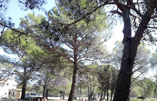 Eco Secluded apartments Zabodarski - Foto 1