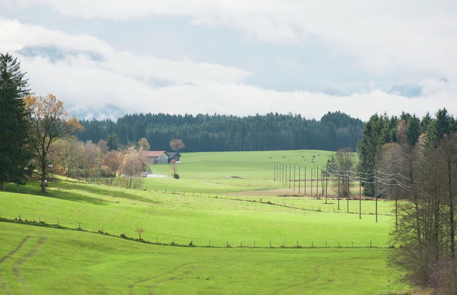 Spacious Apartment in Steingaden near Ski Area - Foto 29