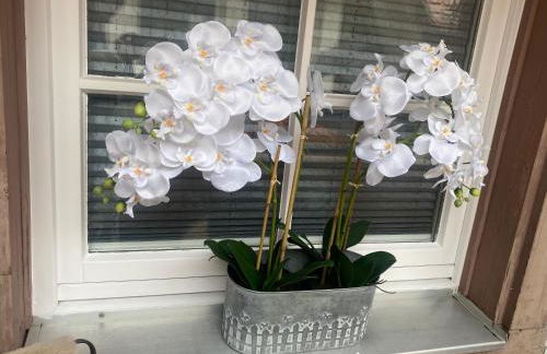 Ferienwohnung Silvia - Foto 41