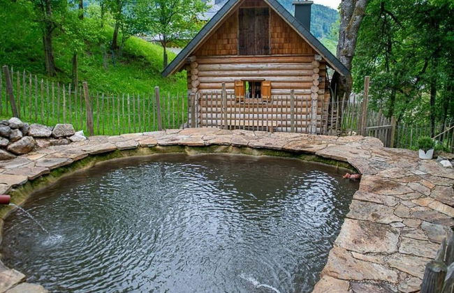 Infanglalm "traunsee" - Foto 20