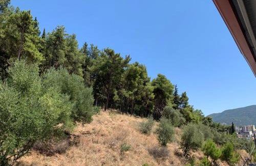 Danai luxury apartment - Foto 28