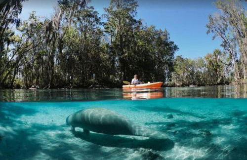 3 bedroom 2 bath with hot tub, game room and boat slip - Foto 29