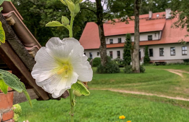 Dwór Szwałk - Foto 57