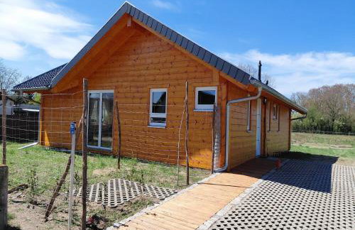 Ferienhaus 4 Elemente in Selchow mit tollem Garten - Foto 5