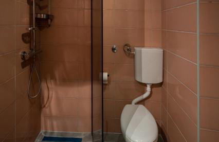 Manor house Aman - Photo 21