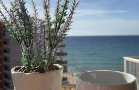 Atlantico Flamingo - Photo 1