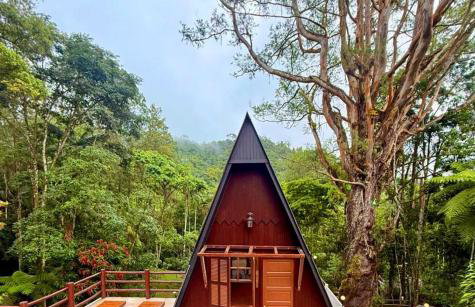 Cabana Eucalipto - Photo 66