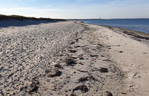 Ferienwohnung Austernfischer Marina Wendtorf - Foto 31