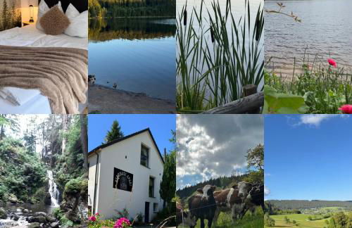 BergOase-Apart am Feldberg - Foto 18