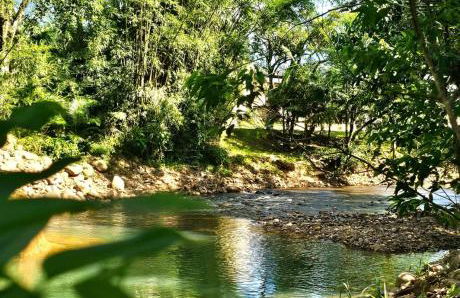 Chalé Girassol 4 - Foto 23