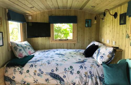 The Peacock Shepherds Hut at Hafoty Boeth - Photo 6