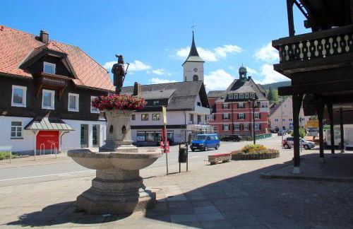 Ferienwohnung Sommerberg, Lenzkirch, 2 Schlafzimmer - Foto 20