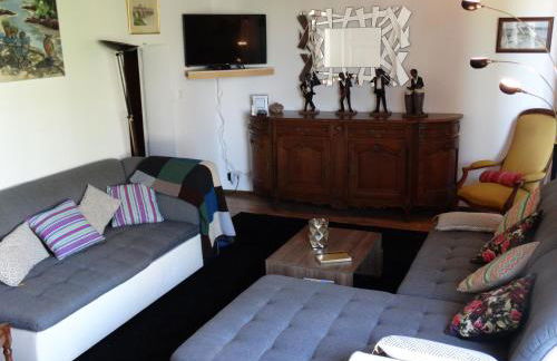 Vue sur Chateau et Loire - Foto 7